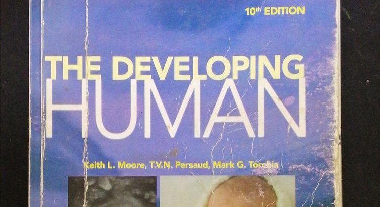 The developing Human