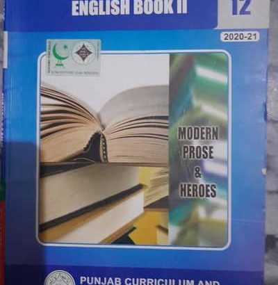 12 class English book