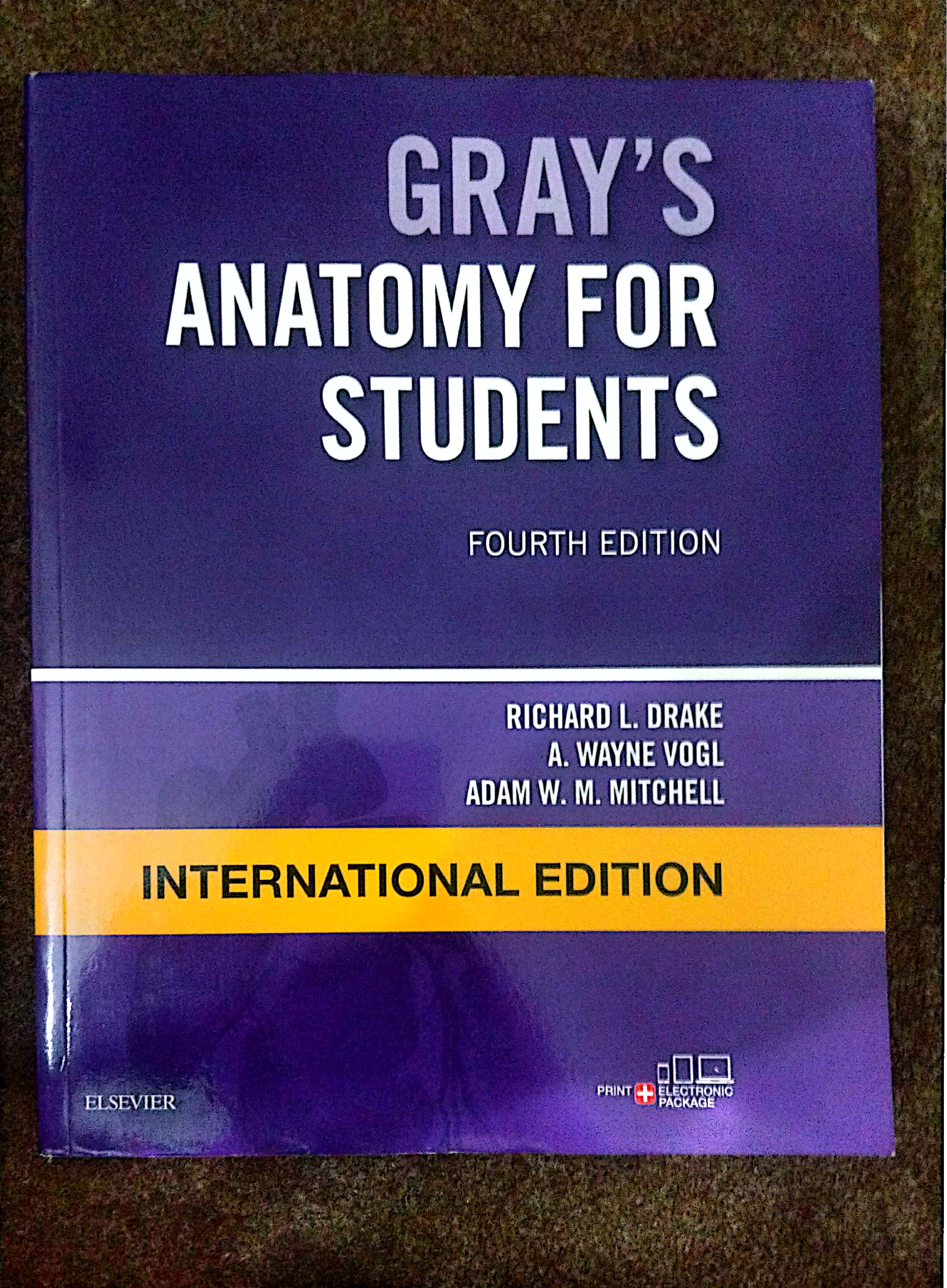 Gray’s Anatomy for Students International Edition